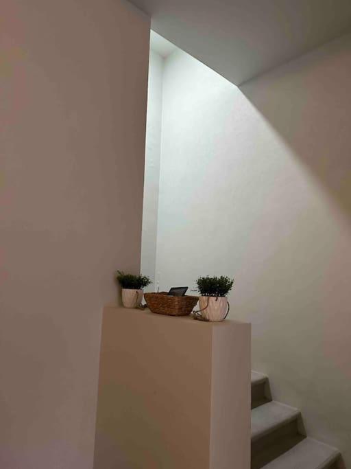 Casa Privada En Villa Bricia Cuernavaca Bagian luar foto
